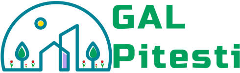 GAL Pitesti | Idei Inovative, succese rasunatoare