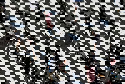 Procedura de selectie